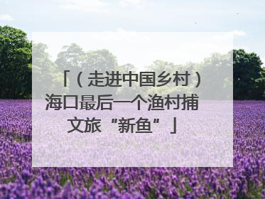 （走进中国乡村）海口最后一个渔村捕文旅“新鱼”