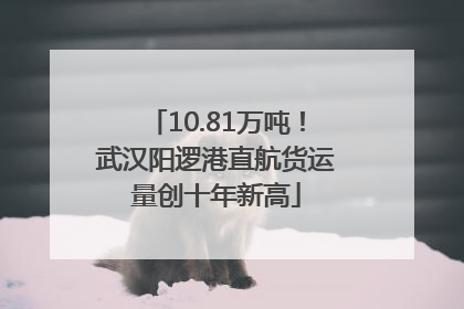 10.81万吨！武汉阳逻港直航货运量创十年新高