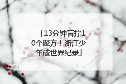 13分钟盲拧10个魔方！浙江少年破世界纪录
