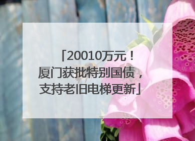 20010万元！厦门获批特别国债，支持老旧电梯更新