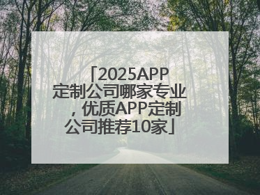 2025APP定制公司哪家专业，优质APP定制公司推荐10家