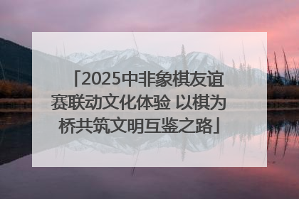2025中非象棋友谊赛联动文化体验 以棋为桥共筑文明互鉴之路