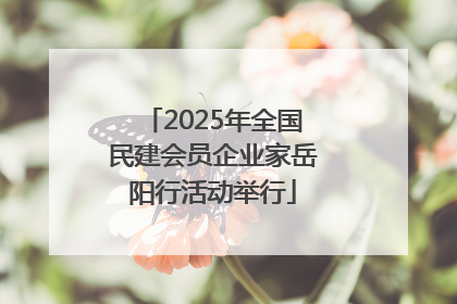 2025年全国民建会员企业家岳阳行活动举行
