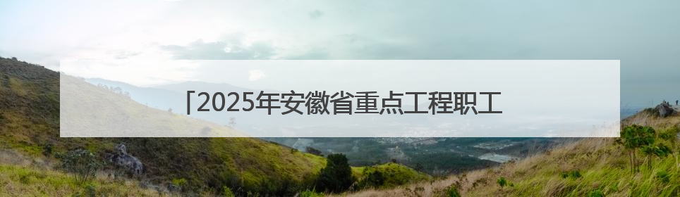 2025年安徽省重点工程职工（农民工）职业技能竞赛开幕