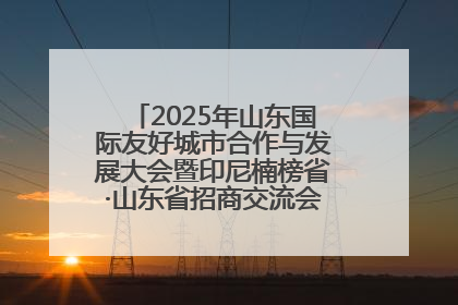 2025年山东国际友好城市合作与发展大会暨印尼楠榜省·山东省招商交流会在济南槐荫举行