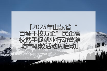 2025年山东省“百城千校万企”民企高校携手促就业行动暨潍坊市职教活动周启动