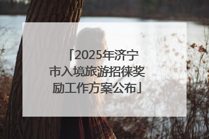 2025年济宁市入境旅游招徕奖励工作方案公布