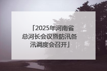 2025年河南省总河长会议暨防汛备汛调度会召开