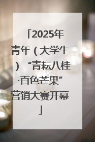 2025年青年（大学生）“青耘八桂·百色芒果”营销大赛开幕