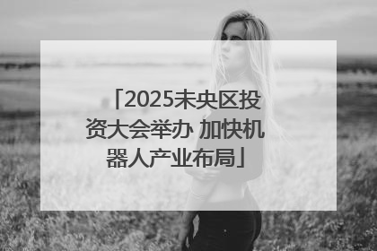 2025未央区投资大会举办 加快机器人产业布局