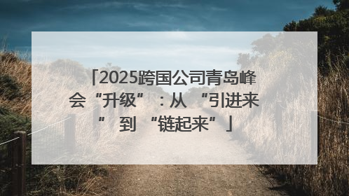 2025跨国公司青岛峰会“升级”：从 “引进来” 到 “链起来”