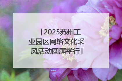 2025苏州工业园区网络文化采风活动圆满举行