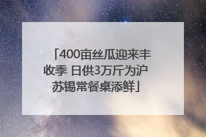 400亩丝瓜迎来丰收季 日供3万斤为沪苏锡常餐桌添鲜