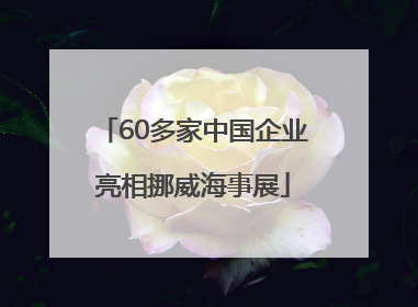 60多家中国企业亮相挪威海事展