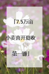 7.5万亩小麦喜开夏收第一镰