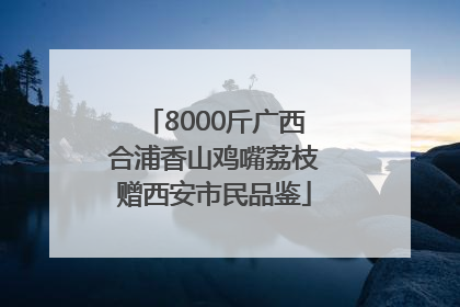 8000斤广西合浦香山鸡嘴荔枝赠西安市民品鉴