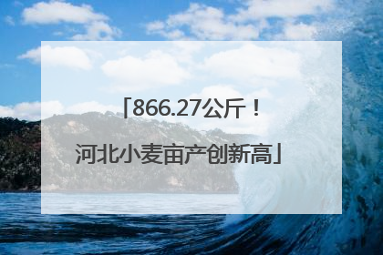866.27公斤！河北小麦亩产创新高
