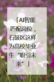 AI智能匹配岗位，石鼓区这样为高校毕业生“职引未来”