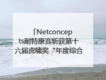 Netconcepts耐特康赛斩获第十六届虎啸奖“年度综合服务商”大奖