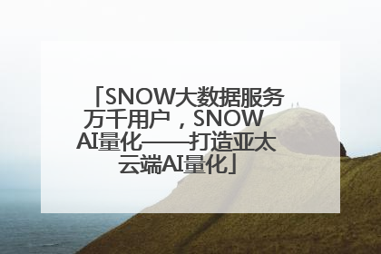 SNOW大数据服务万千用户，SNOW AI量化——打造亚太云端AI量化